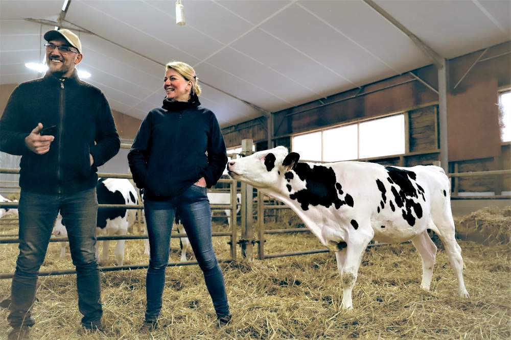 François et Isabelle Merlant de l’Earl du Rouge Pignon à Saint-Waast (59). Pour eux, un éleveur laitier est d’abord un éleveur de génisses.