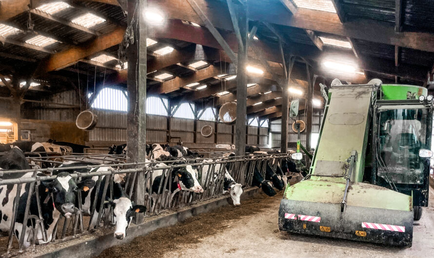 « Nos 72 vaches ont généré 288 000 € de marge sur coût alimentaire sur les 12 derniers mois »