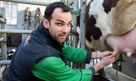Jérôme Auffrais du Gaec de la Mée tarit les trois-quarts de ses vaches sans antibiotique, seulement avec un obturateur de trayon !