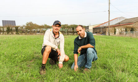 David Arnaud (l’associé de l’EARL de la Gravelle en charge de l’élevage laitier) avec Rudy Lavazais (Conseiller Prairies de la Chambre d’Agriculture des Pays-de-la-Loire) qui a initié l’agriculteur au semi sous couvert.