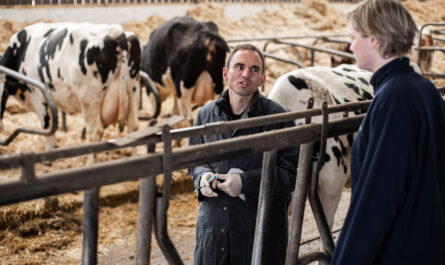 Des chevreaux et des vaches laitières ont été testés positifs au virus de l’influenza aviaire hautement pathogène. Les autorités sanitaires américaines ont également rapporté une infection humaine d’un travailleur d’un des élevages bovins touchés.