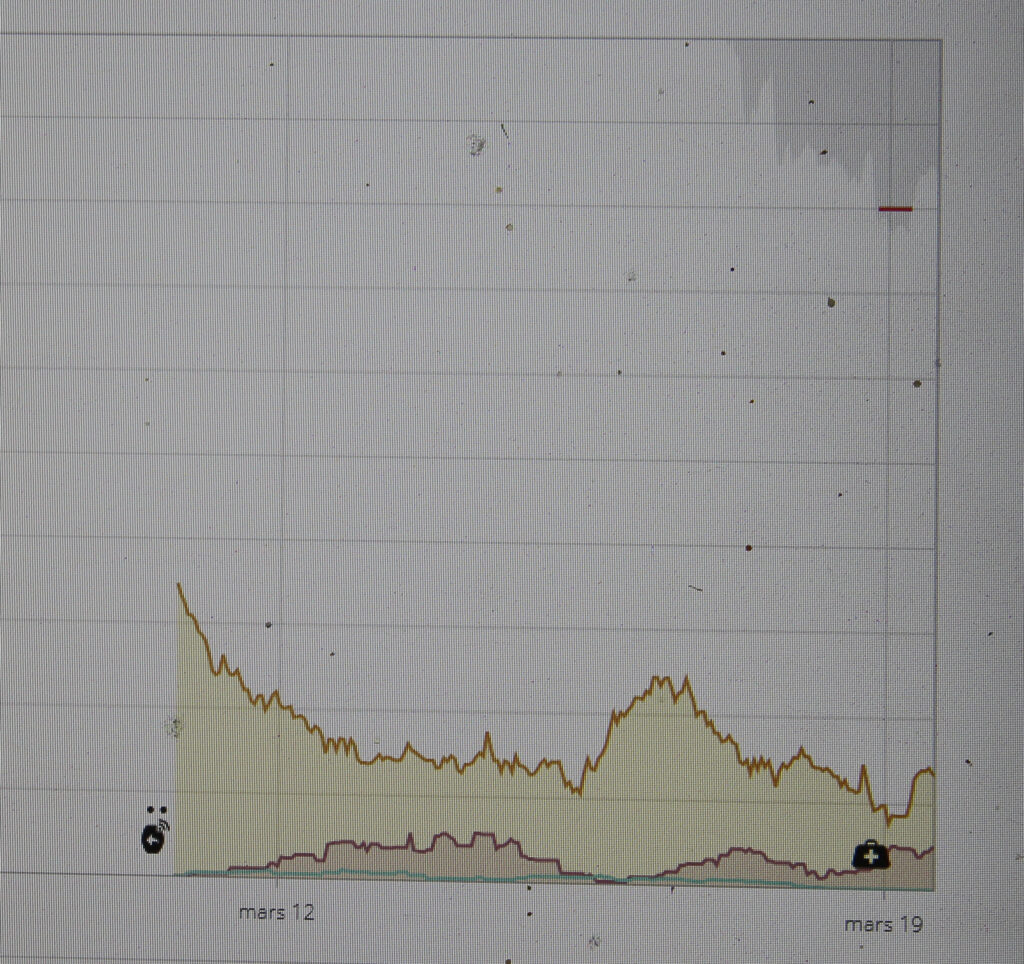 Saisie écran : SenseHub Young Stock analyse en continu le comportement des veaux (courbes en bas de l’écran) et déclenche une alerte lorsque leur état de santé se dégrade (index inférieur à 80, matérialisé par la barre rouge en haut).